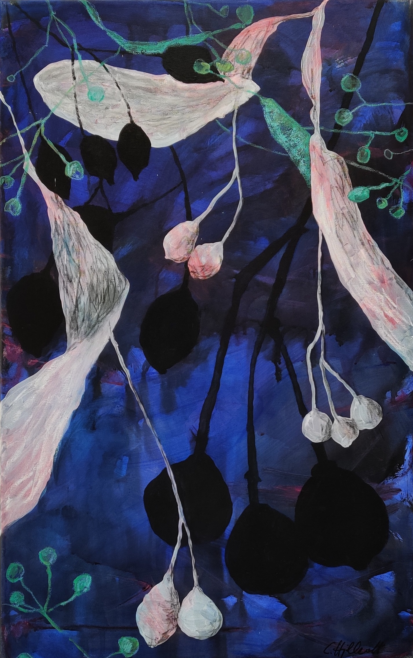 Blå lind 50 x 80 cm