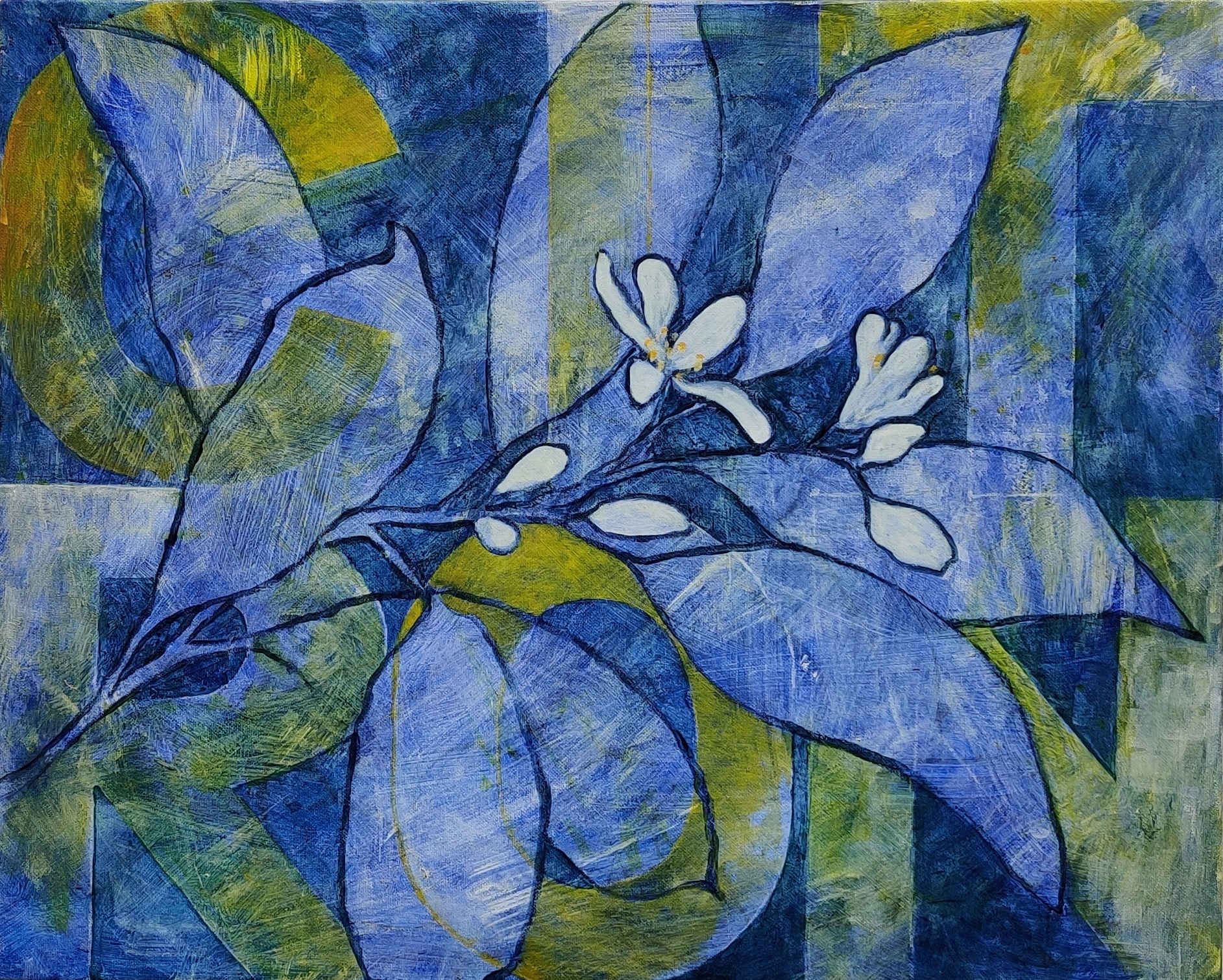 Citron 50 x 40 cm