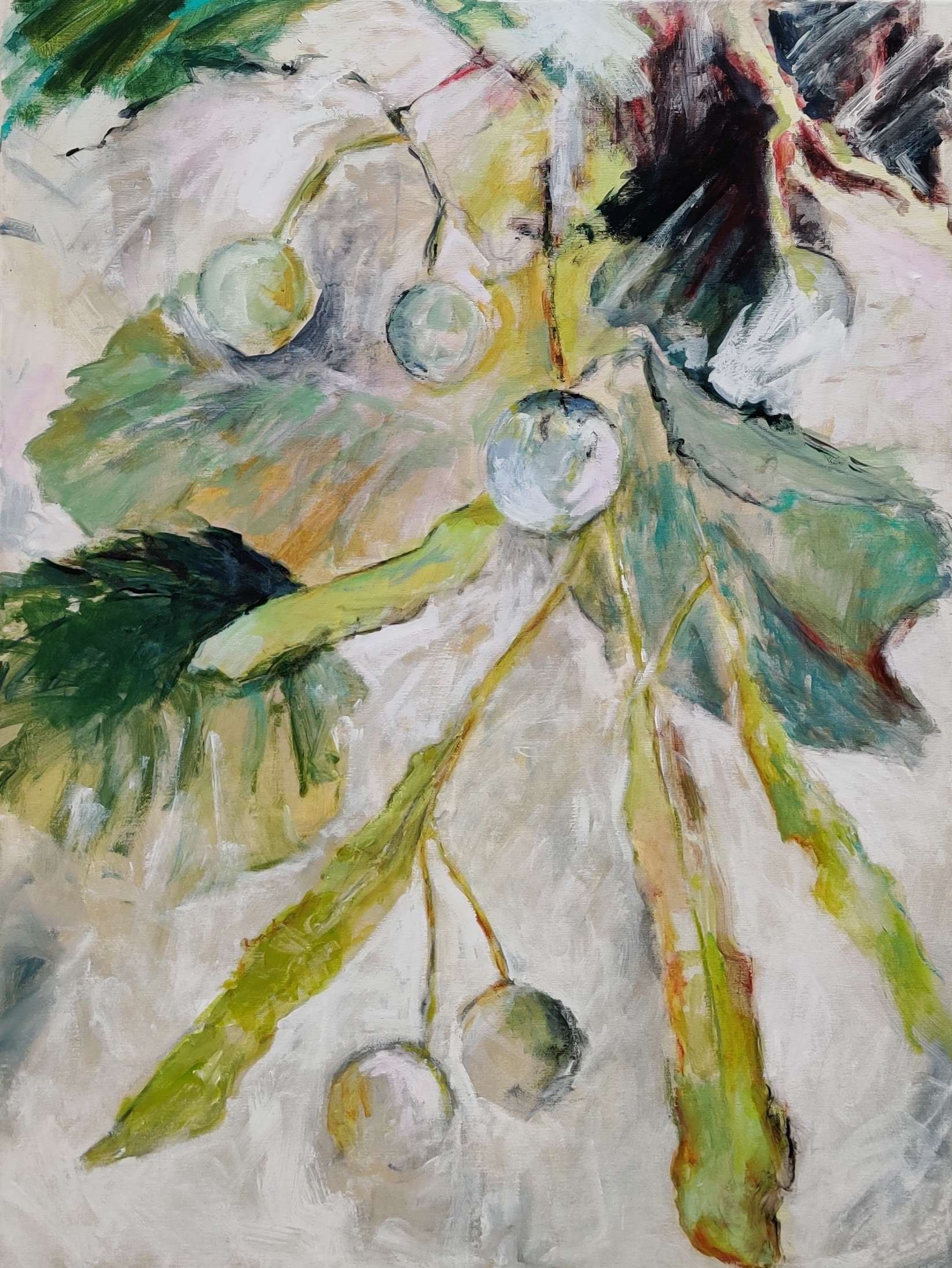 Grøn lind 60 x 80 cm