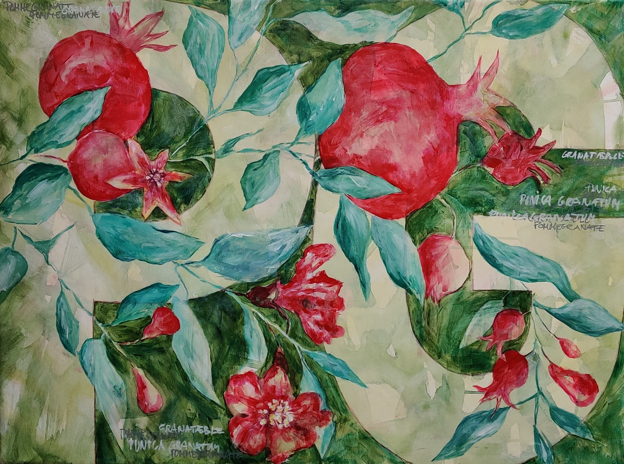Granatæble 80 x 60 cm