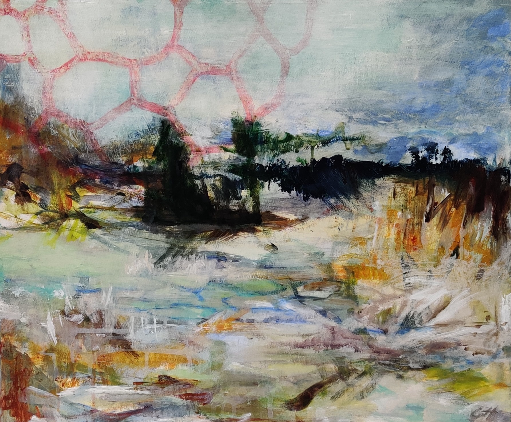 Netværkssky 60 x 50 cm